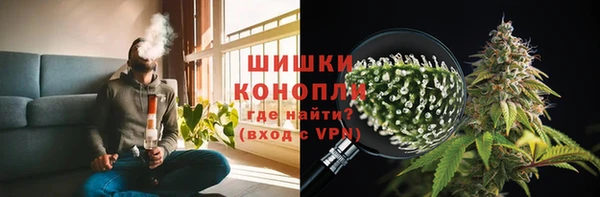 Альфа ПВП Белокуриха