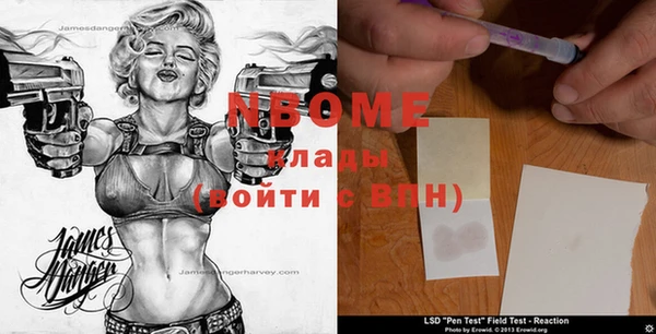 Альфа ПВП Белокуриха