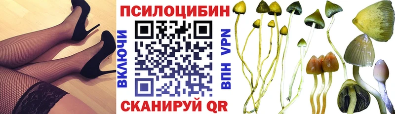 Галлюциногенные грибы Psilocybine cubensis  Невельск 